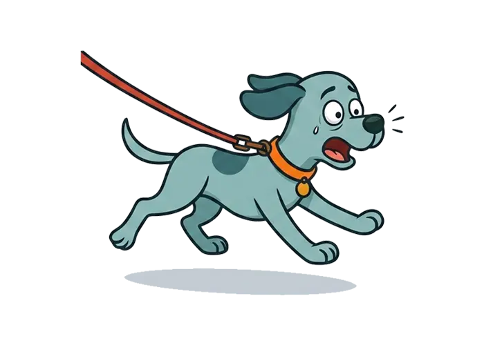 Perro nervioso Plan Moderado